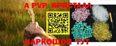 прущие грибы Новозыбков