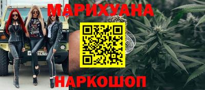прущие грибы Новозыбков