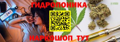 прущие грибы Новозыбков