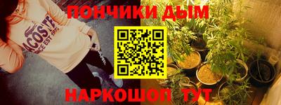прущие грибы Новозыбков