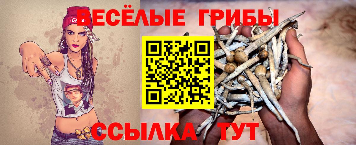 Галлюциногенные грибы ЛСД  Вход с VPN  где можно купить   Троицк 