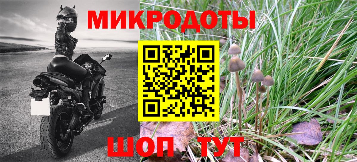 Псилоцибиновые грибы мицелий Троицк